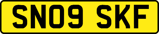 SN09SKF