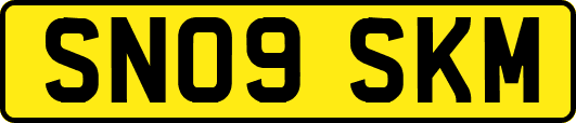 SN09SKM
