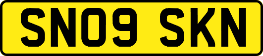 SN09SKN