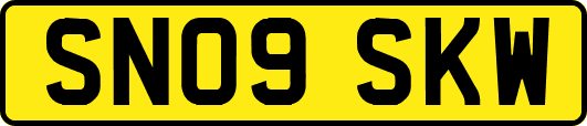 SN09SKW