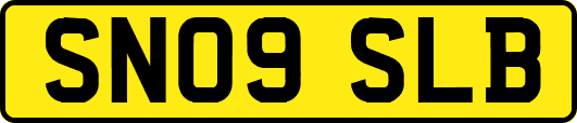 SN09SLB