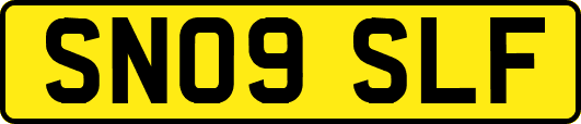 SN09SLF