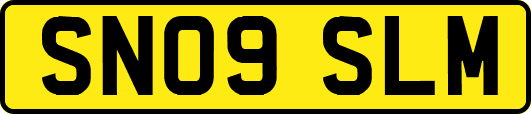 SN09SLM