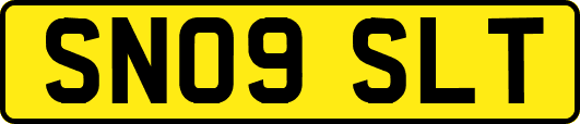 SN09SLT