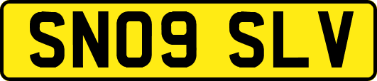 SN09SLV