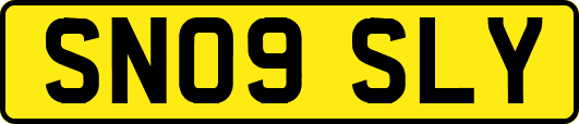SN09SLY