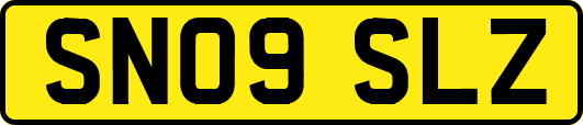 SN09SLZ