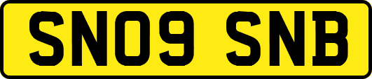 SN09SNB