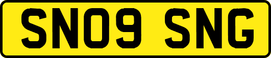 SN09SNG
