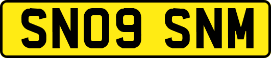 SN09SNM