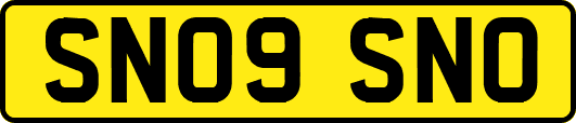 SN09SNO