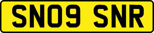SN09SNR