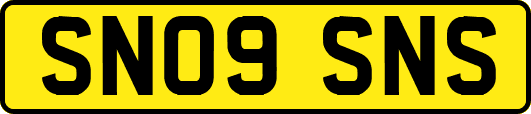 SN09SNS
