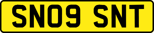 SN09SNT