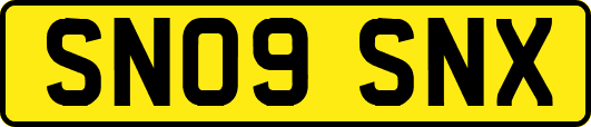 SN09SNX