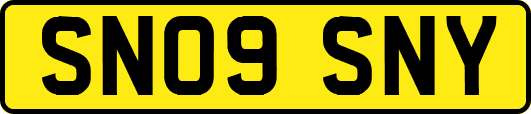 SN09SNY