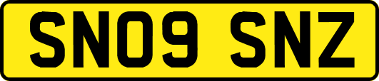 SN09SNZ