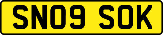 SN09SOK