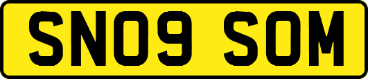 SN09SOM
