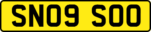 SN09SOO