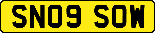 SN09SOW
