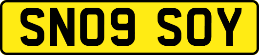 SN09SOY