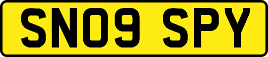 SN09SPY