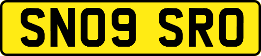 SN09SRO