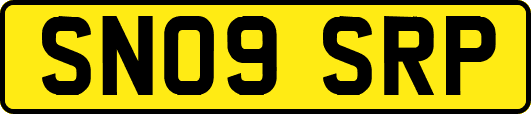 SN09SRP