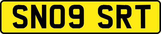 SN09SRT