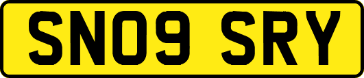 SN09SRY