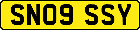 SN09SSY