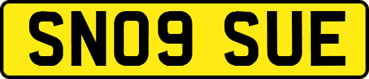 SN09SUE