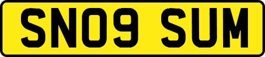 SN09SUM