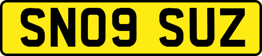 SN09SUZ
