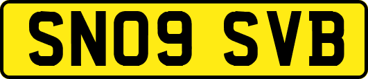 SN09SVB