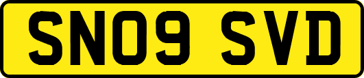 SN09SVD