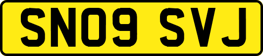 SN09SVJ