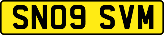 SN09SVM