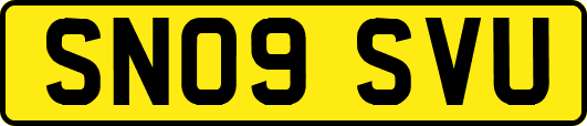 SN09SVU