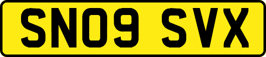 SN09SVX
