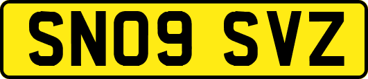 SN09SVZ
