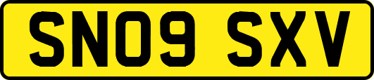 SN09SXV