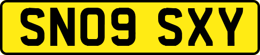 SN09SXY