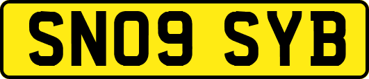 SN09SYB