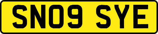 SN09SYE