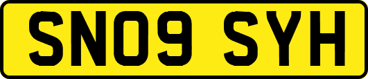 SN09SYH