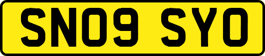 SN09SYO