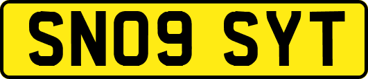 SN09SYT
