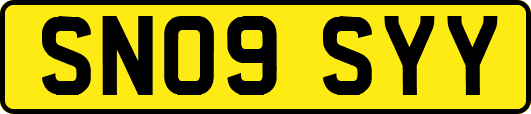 SN09SYY